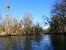 Groschenwasser, Februar 2026